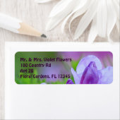 Étiquette Rhododendron après la pluie (En situation)