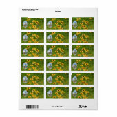 Étiquette Roche peinte (Feuille entière)
