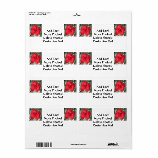 Étiquette Rosa Roja Flor (Feuille entière)