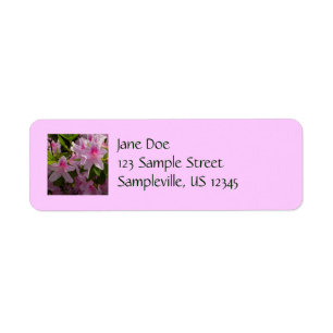 Étiquette Rose Azalea Bush printemps floral