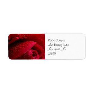 Étiquette Rose de macro rouge avec gouttelettes d'eau