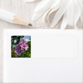 Étiquette Rose de Sharon (En situation)