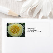 Étiquette Rose jaune (En situation)