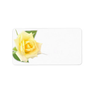 Étiquette Rose jaune