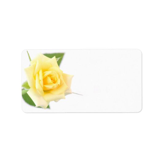 Étiquette Rose jaune (Devant)