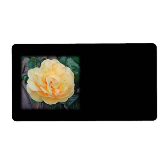 Étiquette Rose jaune, sur arrière - plan noir. (Devant)