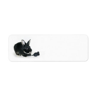 Étiquette Rose lapin noir