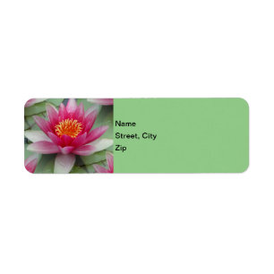 Étiquette Rose Lotus Water Lily