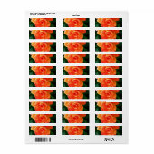 Étiquette Rose orange (Feuille entière)