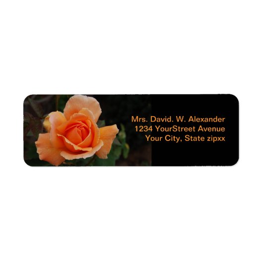 Étiquette Rose orange (Devant)