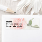 Étiquette Rose rose bonbon (En situation)