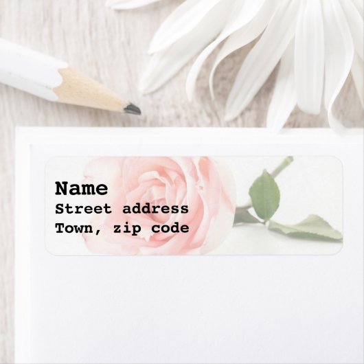 Étiquette Rose rose bonbon (En situation)