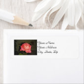 Étiquette Rose rose de nuit (En situation)