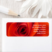 Étiquette Rose rouge (En situation)