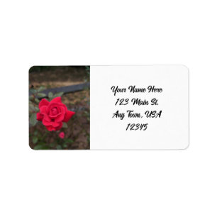 Étiquette Rose rouge