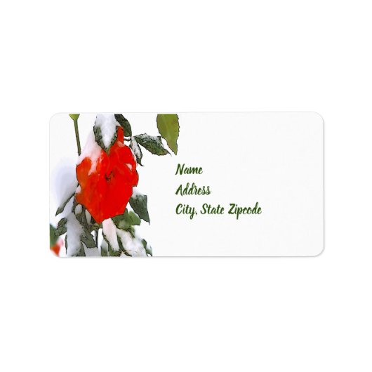 Étiquette Rose rouge en neige (Devant)