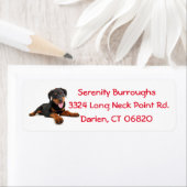 Étiquette Rotweiler Chien Chien Chien Chien Rouge Canine Éti (En situation)