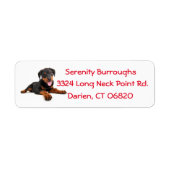 Étiquette Rotweiler Chien Chien Chien Chien Rouge Canine Éti (Devant)