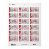 Étiquette rouge et aqua belle damas formelle (Feuille entière)