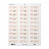 Étiquette Ruban rose pêche adresse de retour (Feuille entière)
