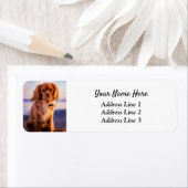 Étiquette Ruby Cavalier King Charles Adresse de retour (En situation)