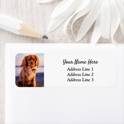 Étiquette Ruby Cavalier King Charles Adresse de retour (En situation)