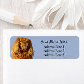 Étiquette Ruby Cavalier King Charles Adresse de retour (En situation)