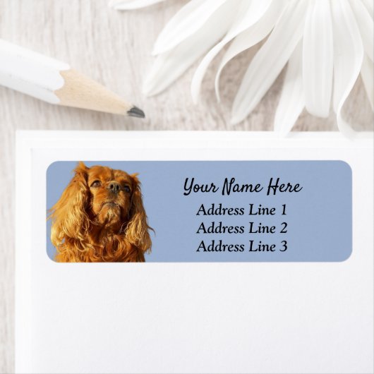 Étiquette Ruby Cavalier King Charles Adresse de retour (En situation)