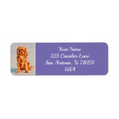 Étiquette Ruby Cavalier King Charles Spaniel Chien Retour (Devant)