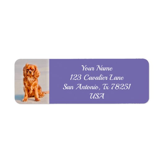 Étiquette Ruby Cavalier King Charles Spaniel Chien Retour (Devant)