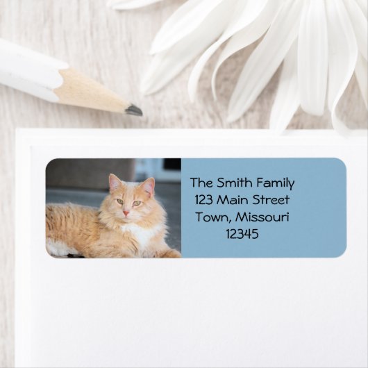 Étiquette Ruffles (En situation)