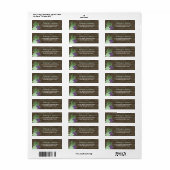 Étiquette Rustic Succulent & Aloe Vera Adresse de retour Lab (Feuille entière)