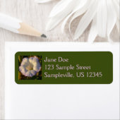 Étiquette Sacré Fleur sauvage du désert des fleurs de Datura (En situation)