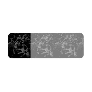 Étiquette Sagittarius Constellation Hevelius circa 1690