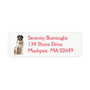 Étiquette Saint Bernard Puppy Dog Funny St Bernard