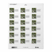 Étiquette Saint Bernards dans le triage (Feuille entière)