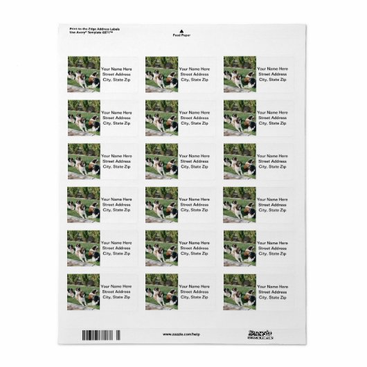 Étiquette Saint Bernards dans le triage (Feuille entière)