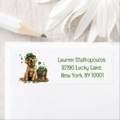 Étiquette Saint Patrick's Day Labrador Retriever Dog (En situation)