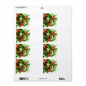 Étiquette Salade végétale (Feuille entière)