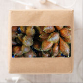 Étiquette Salak [Fruit de serpent] (En situation)