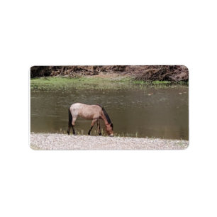 Étiquette Salt River Wild Horses Collection Address Label
