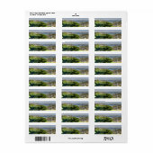 Étiquette San Diego (Feuille entière)