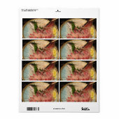 Étiquette Sashimi 刺 身 (Feuille entière)