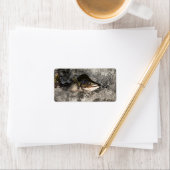 Étiquette Saumon de saut (En situation)