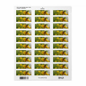 Étiquette Sauvez les abeilles (Feuille entière)