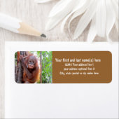 Étiquette Sauvez les Orangutans avec Baby Uttuh (En situation)