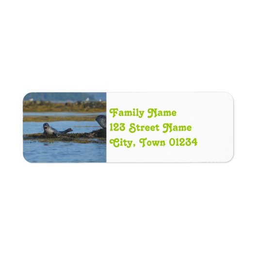 Étiquette Sceau à Casco Bay Maine (Devant)