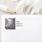 Étiquette Scène hivernale (En situation)