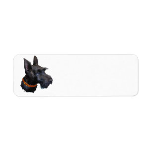 Étiquette Scottish Terrier Address Label