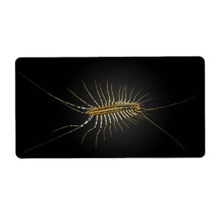 Étiquette Scutigera Coleoptrata de centipède de Chambre